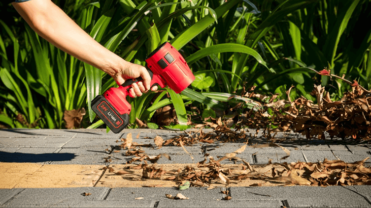 benefits of wood ranger